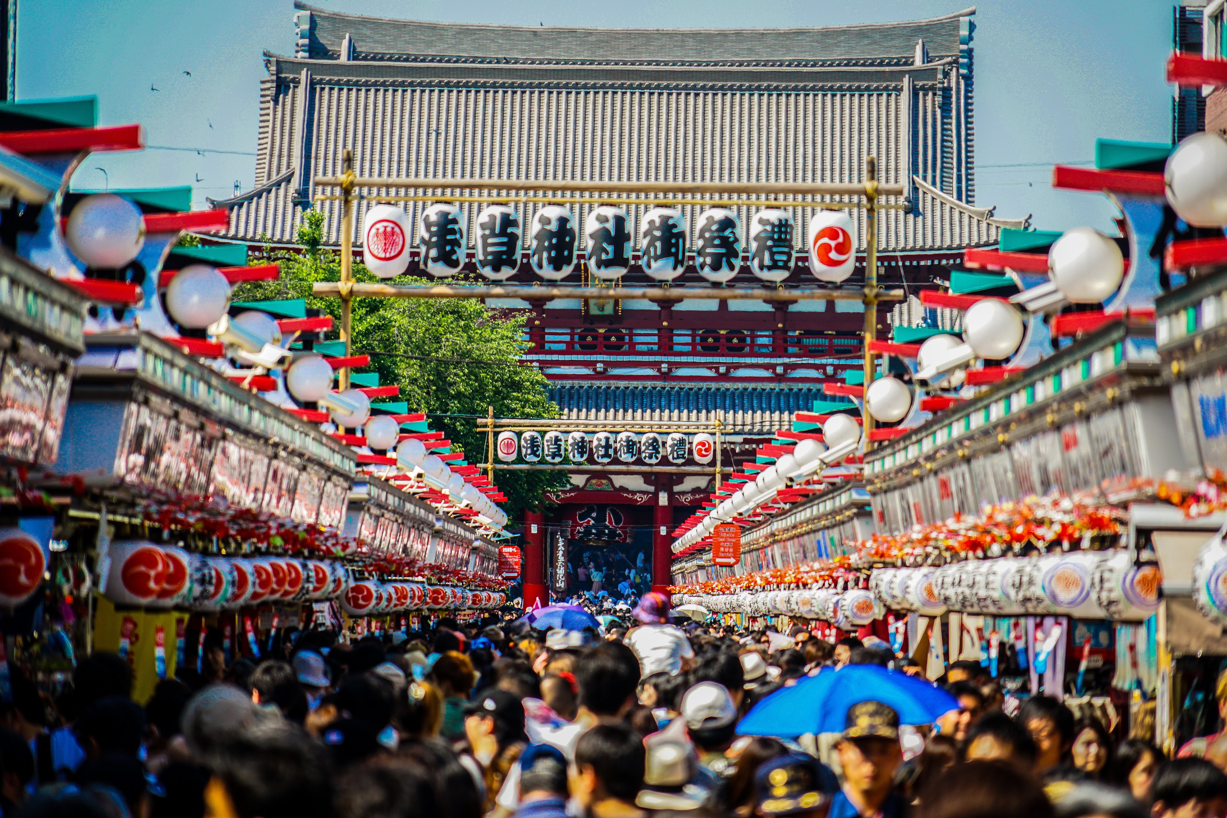 AdobeStock_231357259